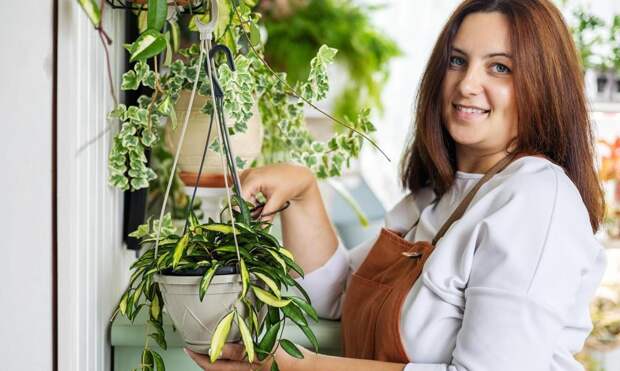 Какие цветы в горшках подарить на 8 марта, порекомендовала эксперт Постнова