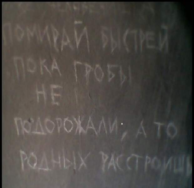 Сумасшедший и непредсказуемый кладбищенский юмор  гроб, кладбище, прикол, смерть, юмор