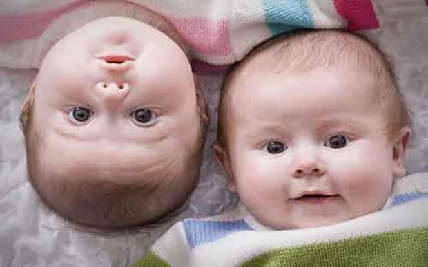 Любопытные факты о близнецах