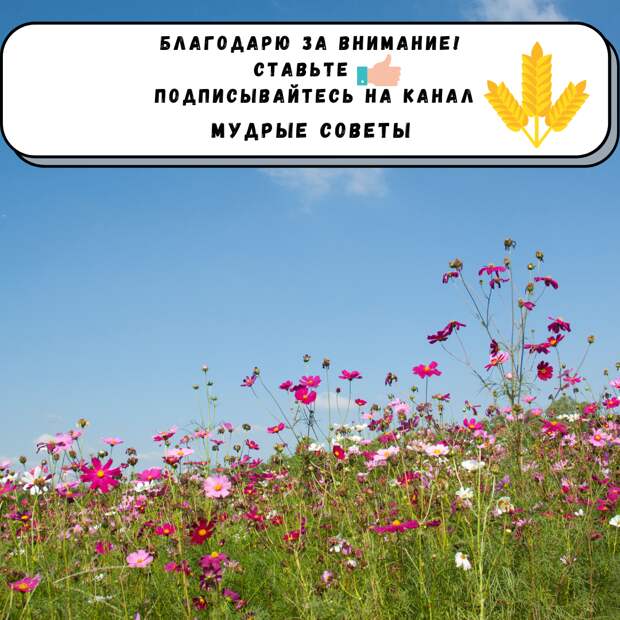 Славянские названия месяцев: как их называли наши предки?