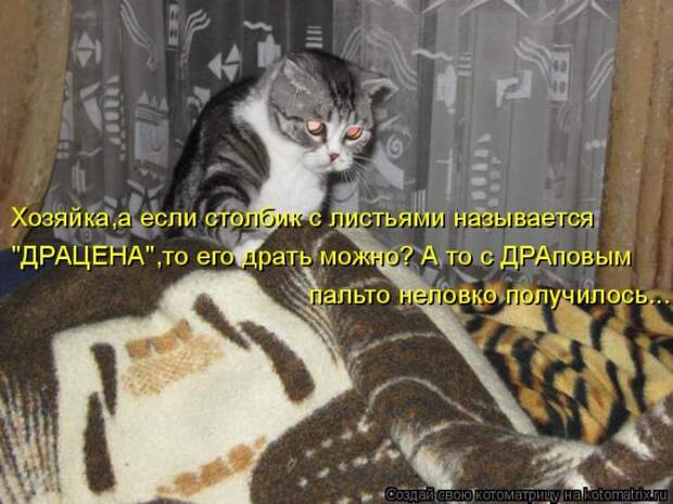 Забавные котоматрицы