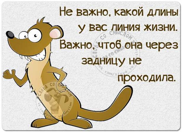 5672049_1461182804_frazki7 (604x436, 85Kb)