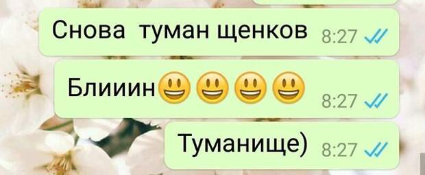 www.vsyako.net