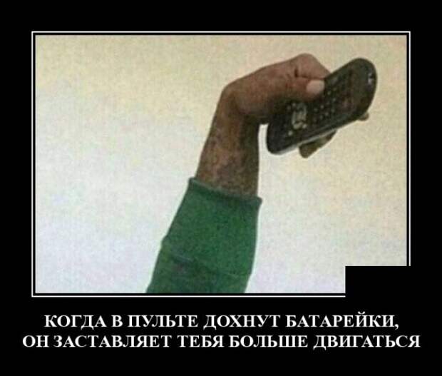 Демотиваторы