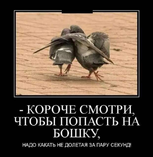 Демотиваторы. Подборка chert-poberi-dem-chert-poberi-dem-47020919052020-2 картинка chert-poberi-dem-47020919052020-2