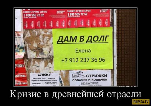 Демотиваторы 28.9.2017 Демотиваторы 28.9.2017