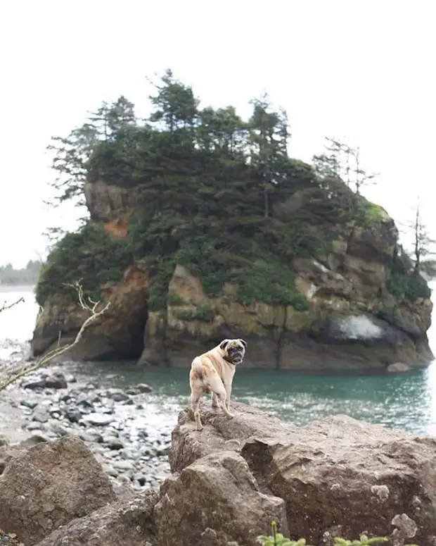 Нам надо туда плыть? Фото: Jeremy Veach. Нам надо туда плыть? Фото: Jeremy Veach.