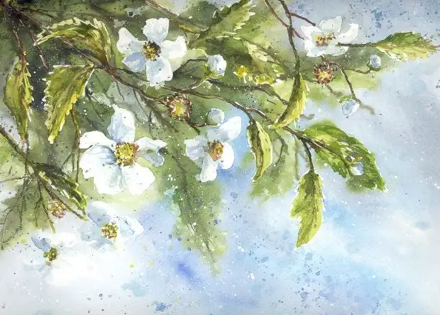       (Malgorzata Szczecinska)