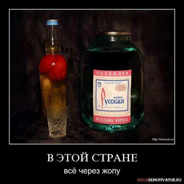 Демотиваторы и мотиваторы. Демотиваторы и веселые картинки_22-01-2013