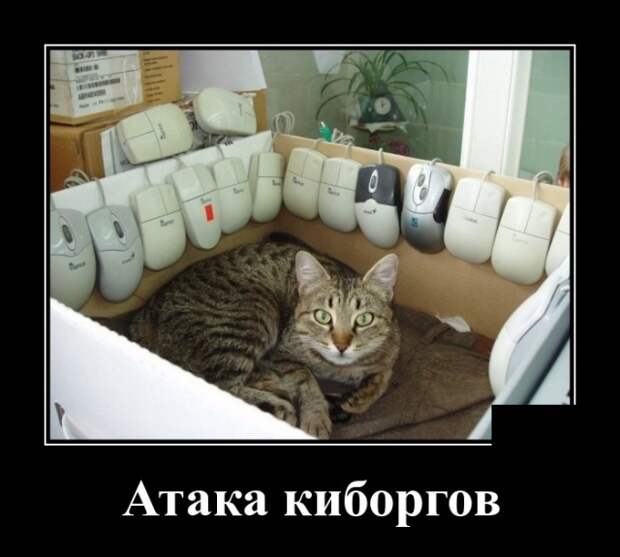 Демотиваторы (30 фото)