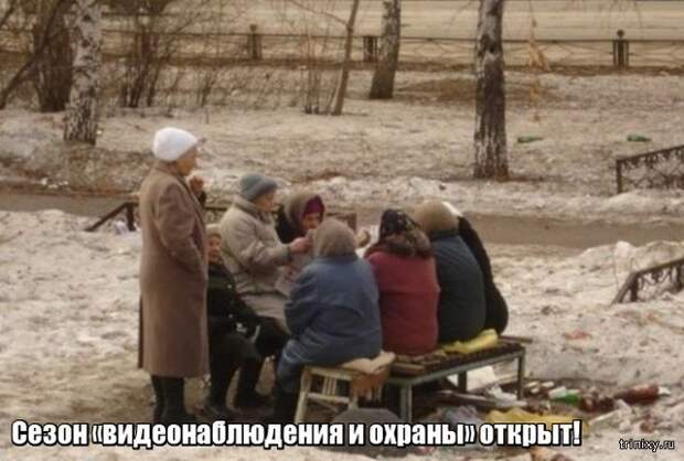 Весна уже пришла? Или пока еще нет? (23 фото)