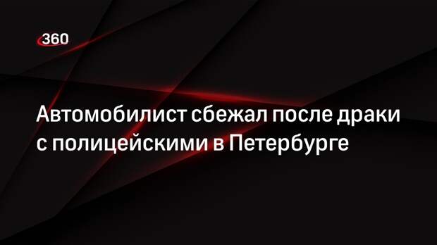 Автомобилист сбежал после драки с полицейскими в Петербурге