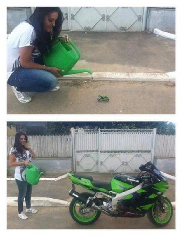 Авто-приколы!