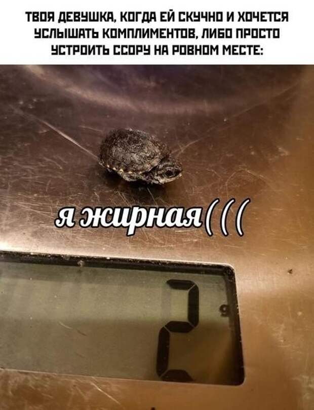 И снова пост о М и Ж только для взрослых И снова пост о М и Ж только для взрослых