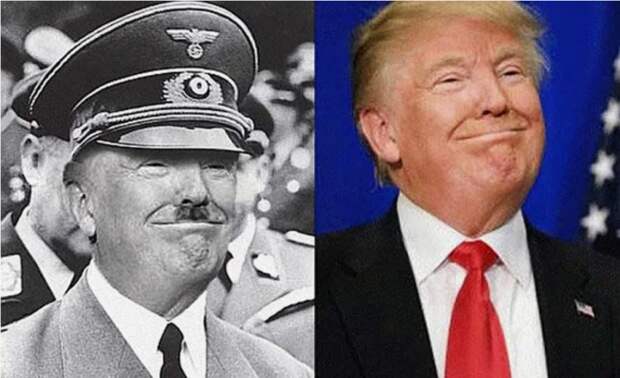 Трамп ведёт себя в точности как Гитлер перед Второй мировой – историк