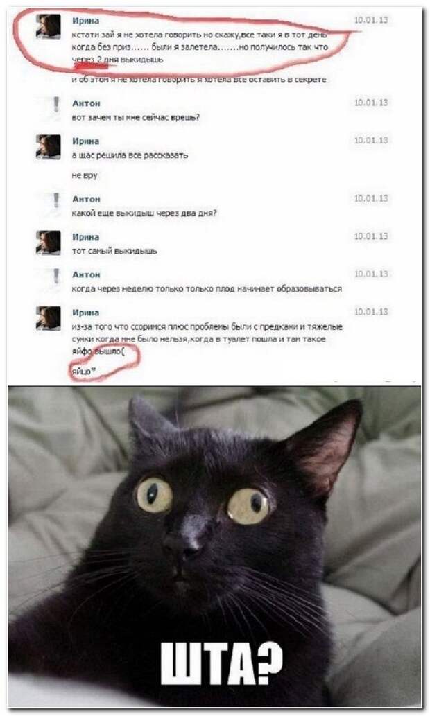 Смешные диалоги