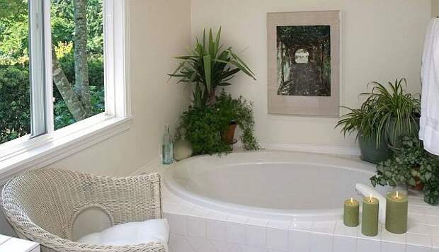 оформление интерьера небольшой ванной комнаты растениями