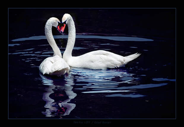 Фотография: Без фотошопа (часть 2) №24 - BigPicture.ru