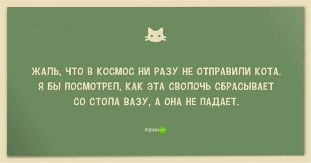 25 смешных анекдотов про кошек и котов 25 смешных анекдотов про кошек и котов