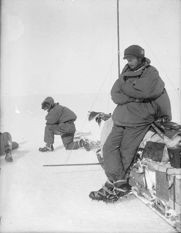 Земля Адели. Глава экспедиции Моусон отдыхает, опершись на сани Дуглас Моусон, австралия, антарктида, изучение Антарктики, научная экспедиция, полярные исследователи, поход во льдах, фотосвидетельства