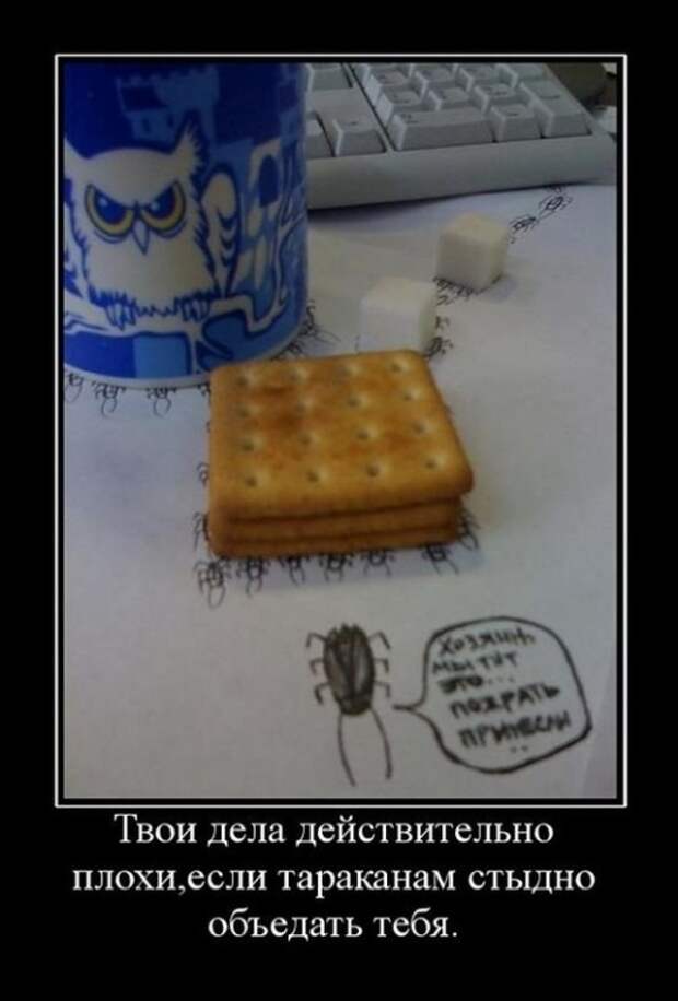 Демотиваторы