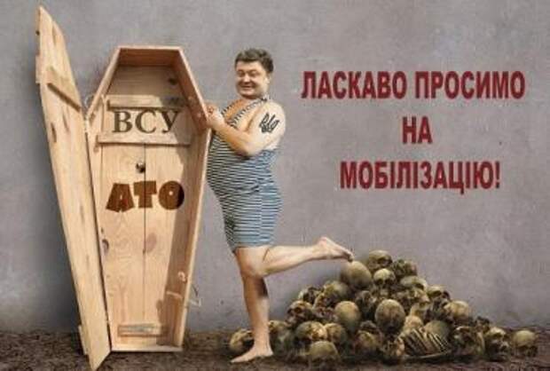 Весенняя утилизация молодого укропа началась