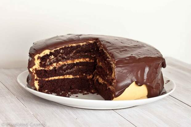 ultimate chocolate peanut butter cake 2 1024x682 the ultimate chocolate peanut butter cake