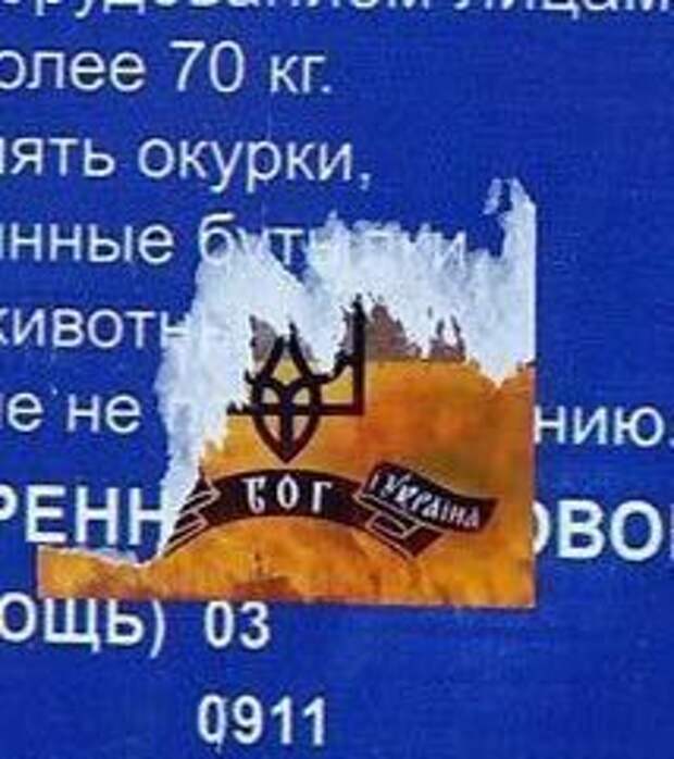 наци1