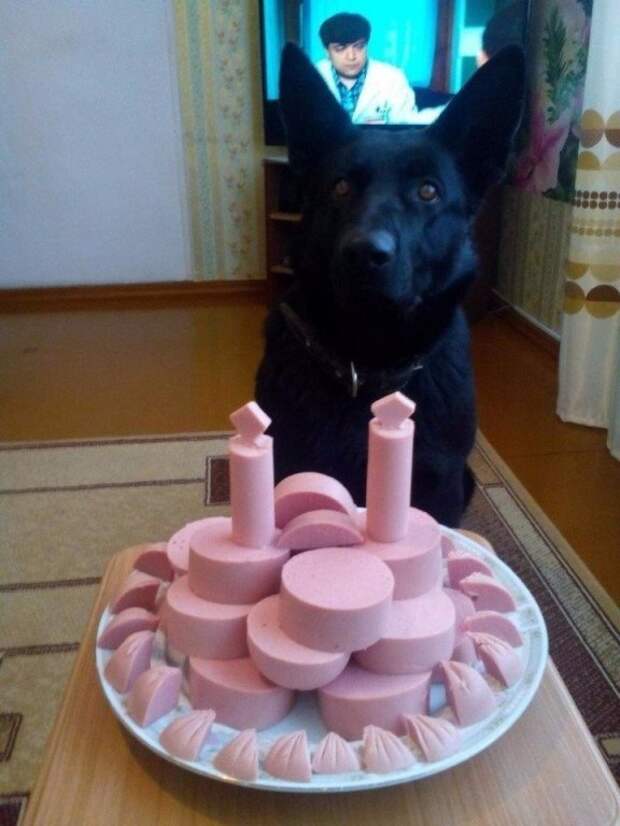 веселые картинки