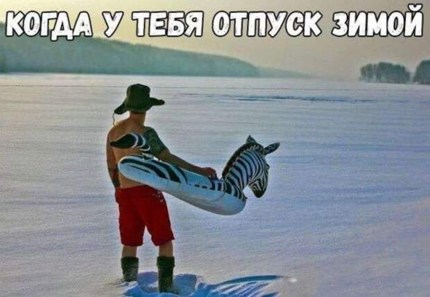 Прикольные цитаты и истории (50 картинок)