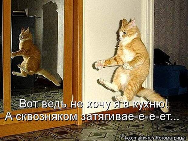 1414135094_kotomatricy-33