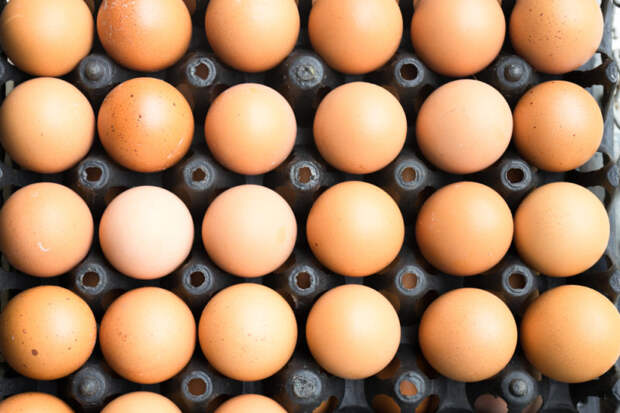 7 фактов о яйцах, которых вы не знали. Изображение номер 2