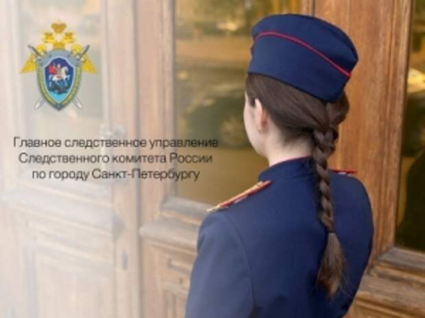 Председатель Следственного комитета России запросил доклад о расследовании обстоятельств травмирования несовершеннолетней в Санкт-Петербурге