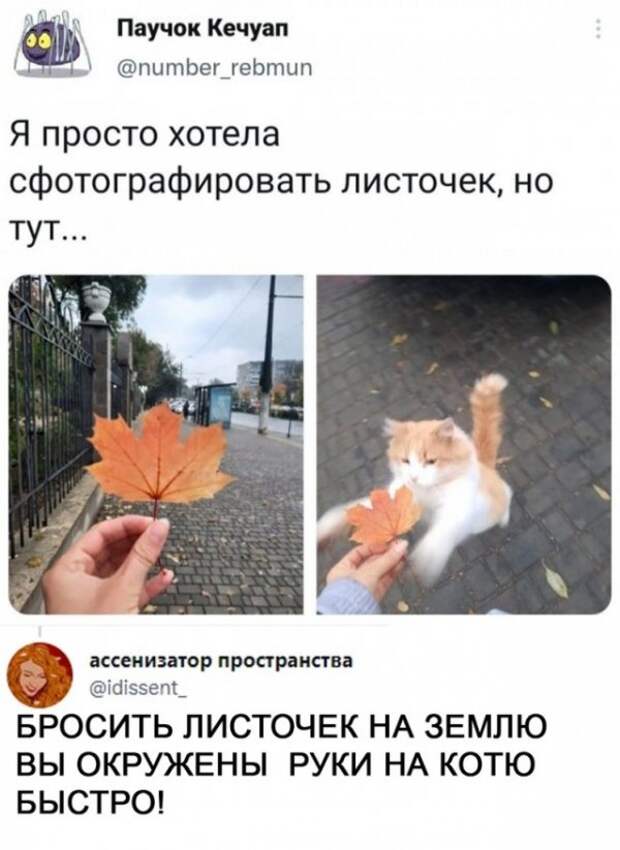 Так себе картинки