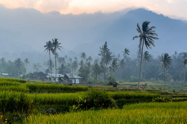 Индонезия: как место проживания связано с уровнем жизни