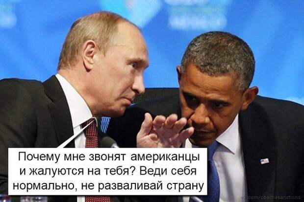Путин. Новые приколы интернета