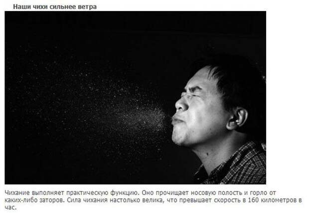 20 интересных фактов о нашем теле