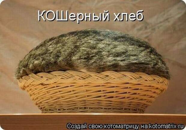 Мысли вслух :)