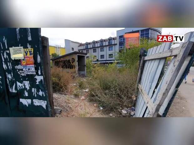 Люди без определённого места жительства и бродячие собаки обзавелись жилплощадью в центре Читы