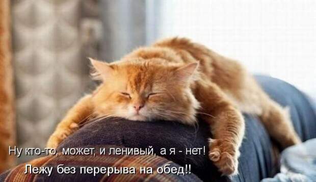Забавные котоматрицы