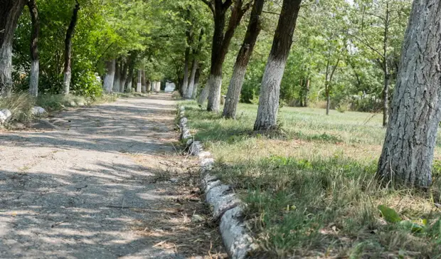 Доработать эскиз пешеходной зоны от парка Победы на ГГМ попросили тагильчане