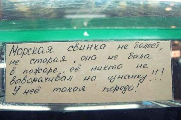 Надписи,объявления