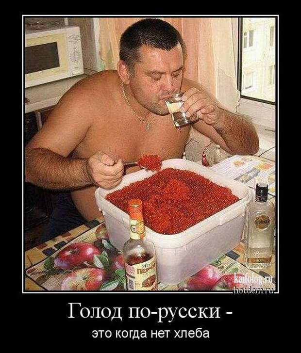 Прикольные демотиваторы про Россию - 232 (45 демок)