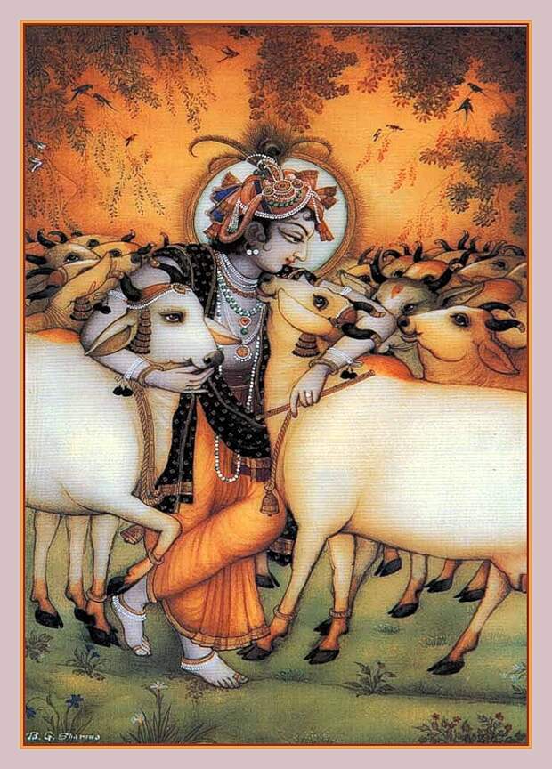 Кришна с коровами Сурабхи