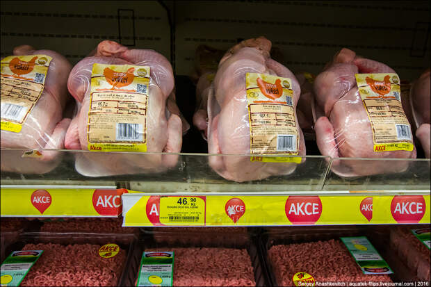 Удивительные цены на продукты в супермаркете Праги