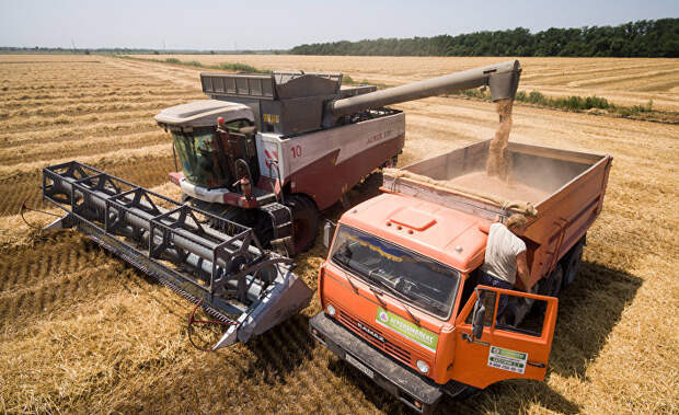 Уборка пшеницы на полях АО "Агрокомплекс" в Краснодарском крае