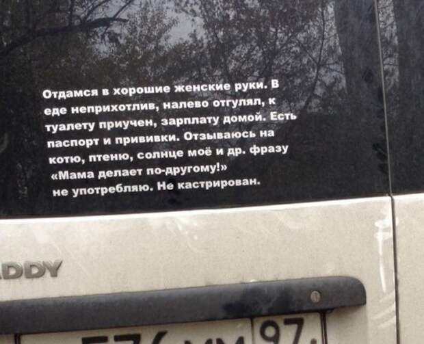 Женщины, не упустите парня! Женщины, не упустите парня! в хорошие руки, отдам даром, прикол, юмор