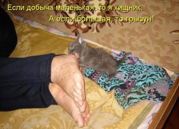 Мысли вслух :)