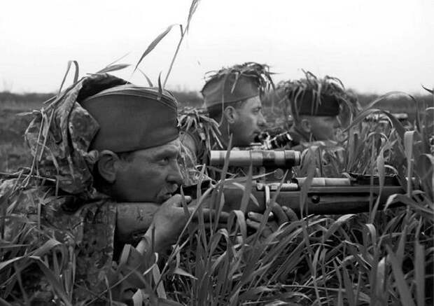 В каких случаях «победы» советских снайперов на фронте отказывались признавать