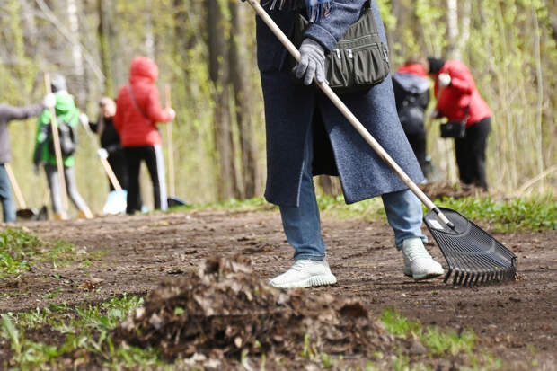 В Подмосковье в масштабном субботнике примет участие искусственный интеллект